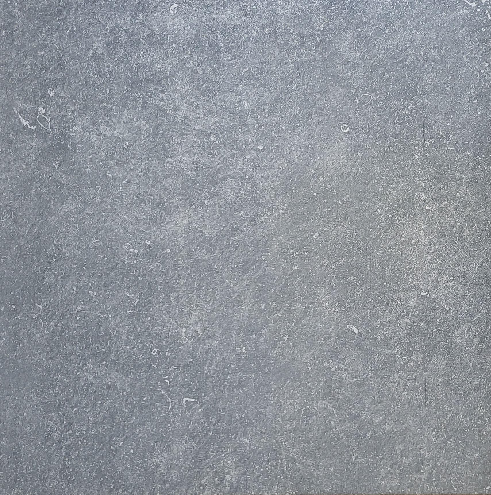 Kingston Grey