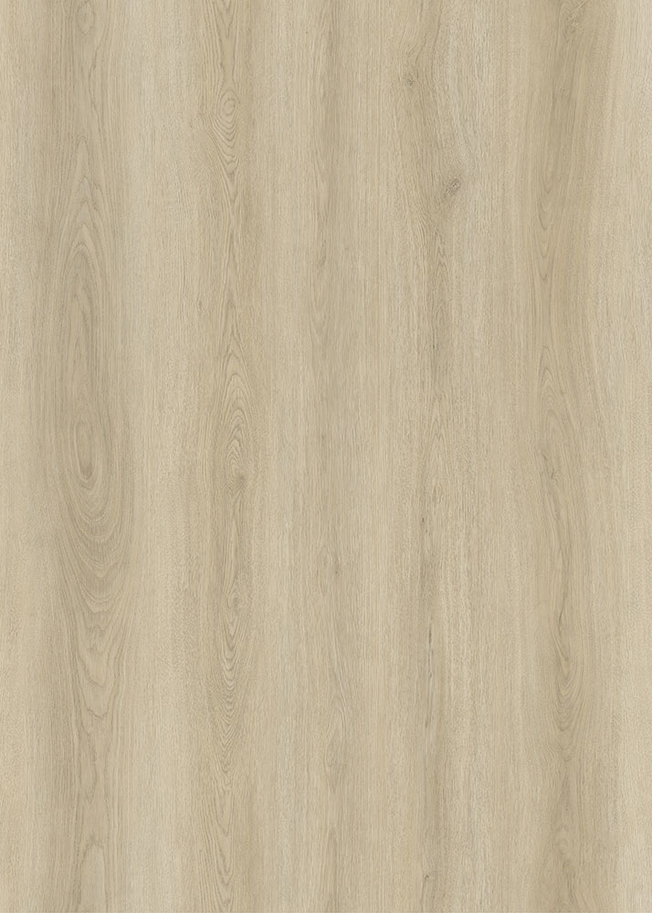 BETULLA BONE