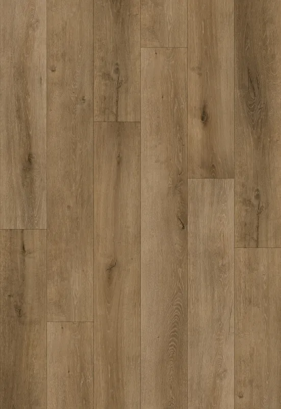 LECCIO BEIGE