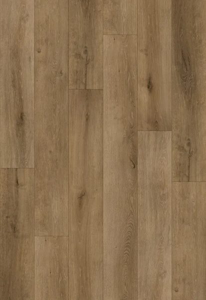 LECCIO BEIGE